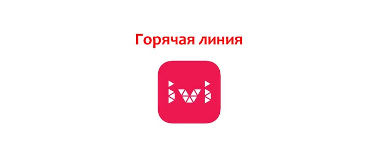 Горячая линия IVI