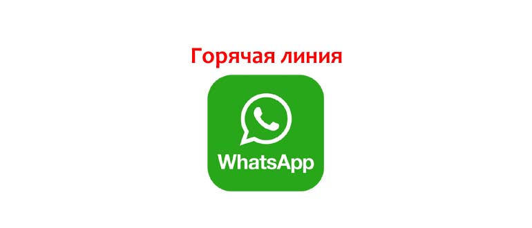 Горячая линия WhatsApp