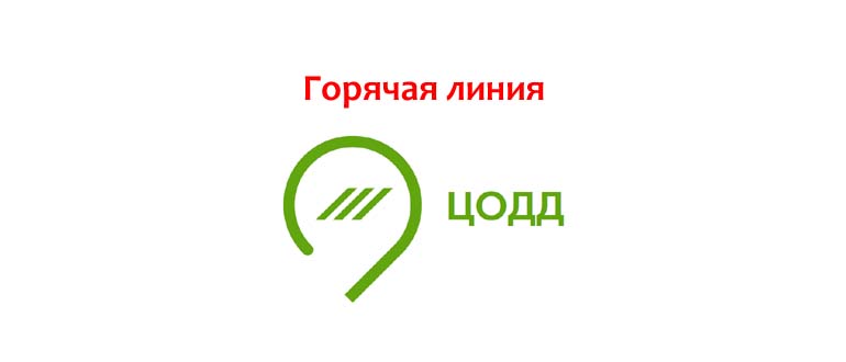 Горячая линия ЦОДД
