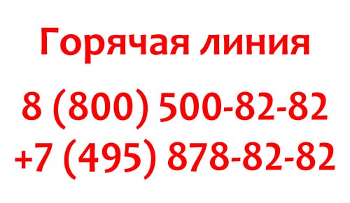 Контакты Глория Джинс