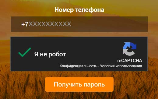 Вход в личный кабинет Вива Деньги