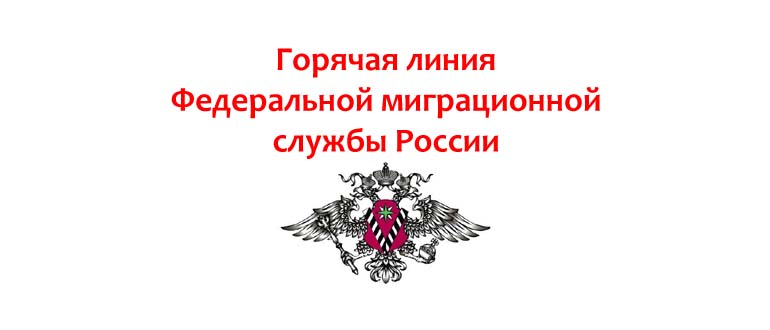 Горячая линия ФМС