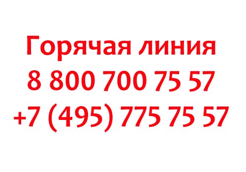 Контакты Ауди