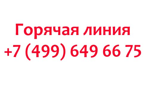 Контакты Kviku