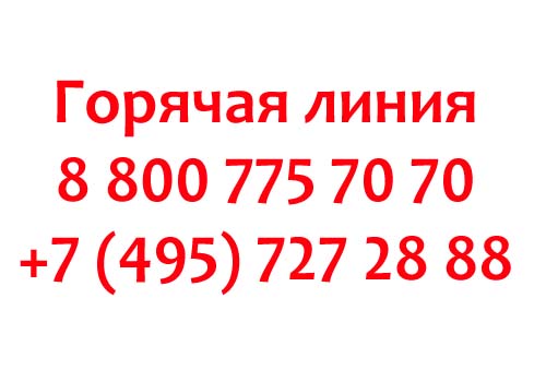 Контакты Ozon.travel