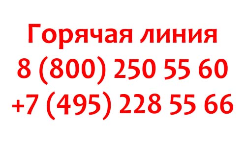 Контакты TP-Link