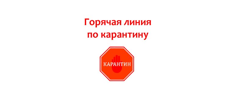 Горячая линия по карантину