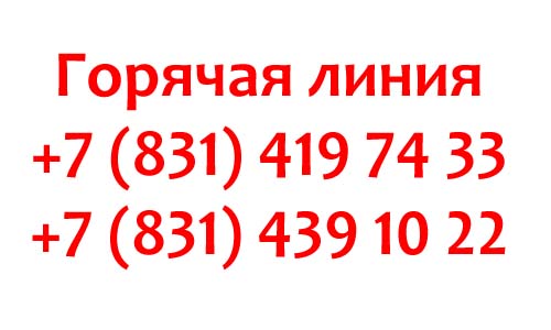 Контакты губернатора Нижегородской области