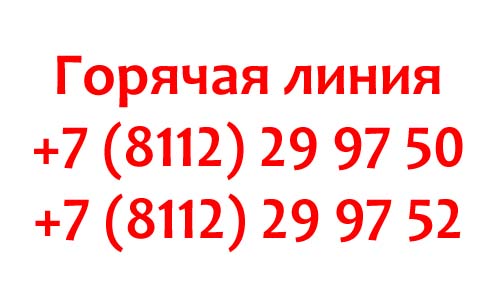 Контакты губернатора Псковской области