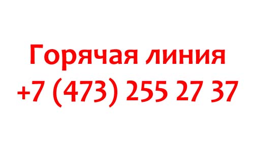 Контакты губернатора Воронежской области