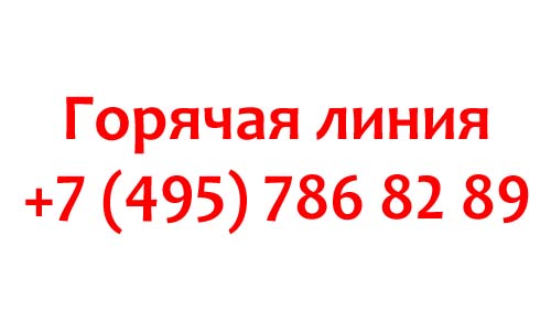 Контакты партии Единая Россия