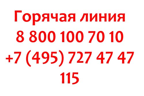 Контакты по цифровым пропускам в Туле