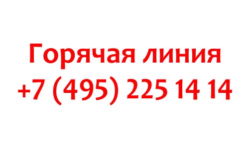 Контакты центров услуг для бизнеса