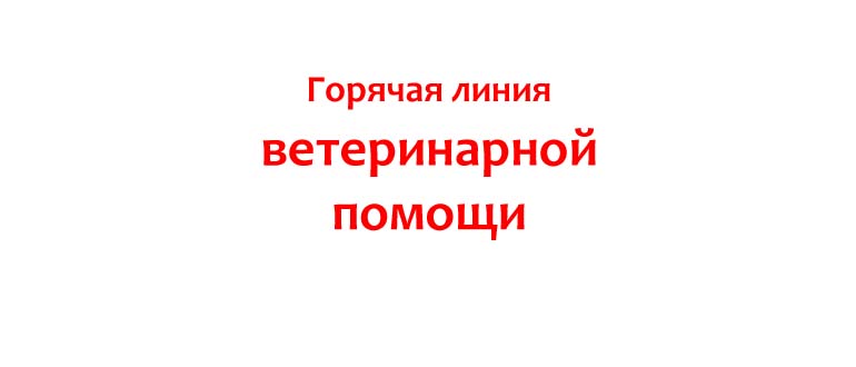 Горячая линия ветеринарной помощи