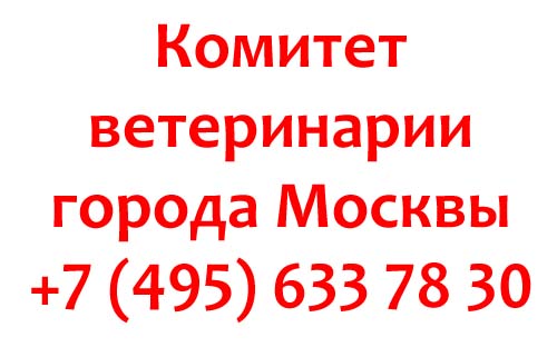 Комитет ветеринарии города Москвы