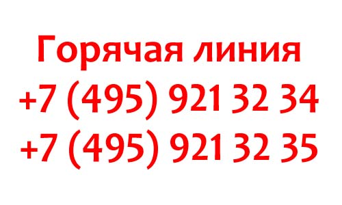 Контакты магазина Магнолия