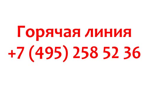 Контакты MalNet
