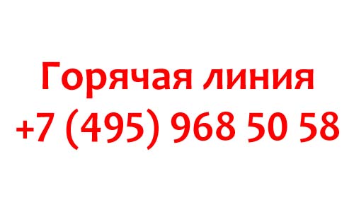 Контакты Робот Мани