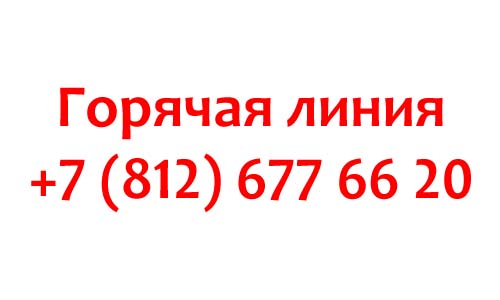 Контакты Well Telecom