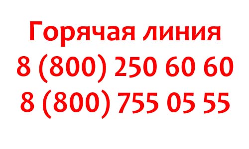 Контакты Инсис