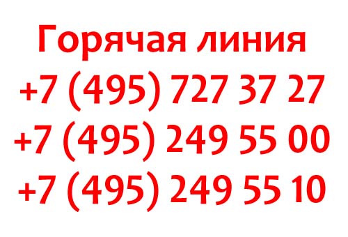 Контакты провайдера Дальняя Связь