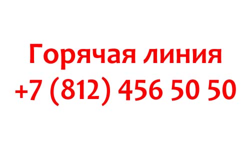 Контакты провайдера Кактус