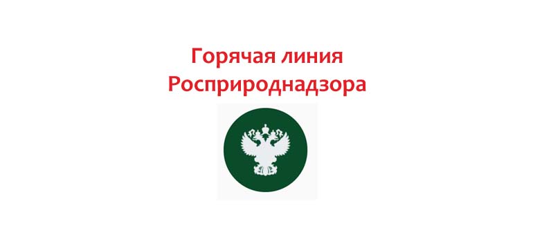 Горячая линия Росприроднадзора