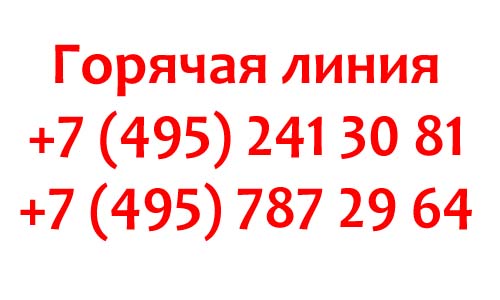 Контакты Элекснет