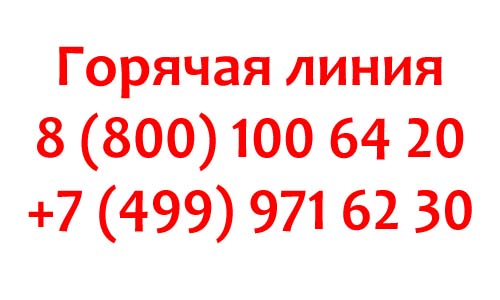 Контакты Epson