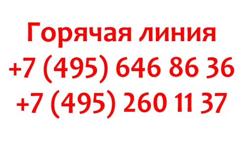Контакты Кинетик