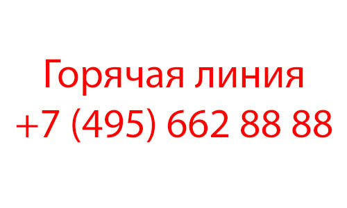 Контакты Чижик