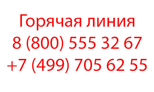 Контакты Guess